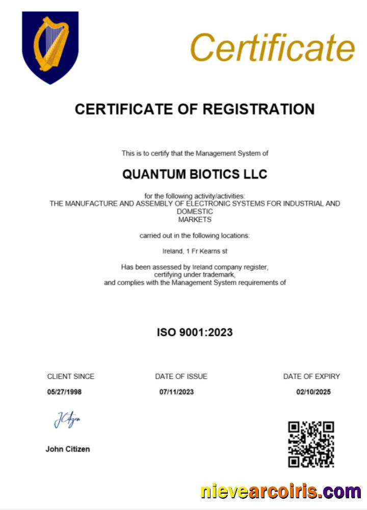 Editable Ireland Certificate Of Registration Word And PDF Template