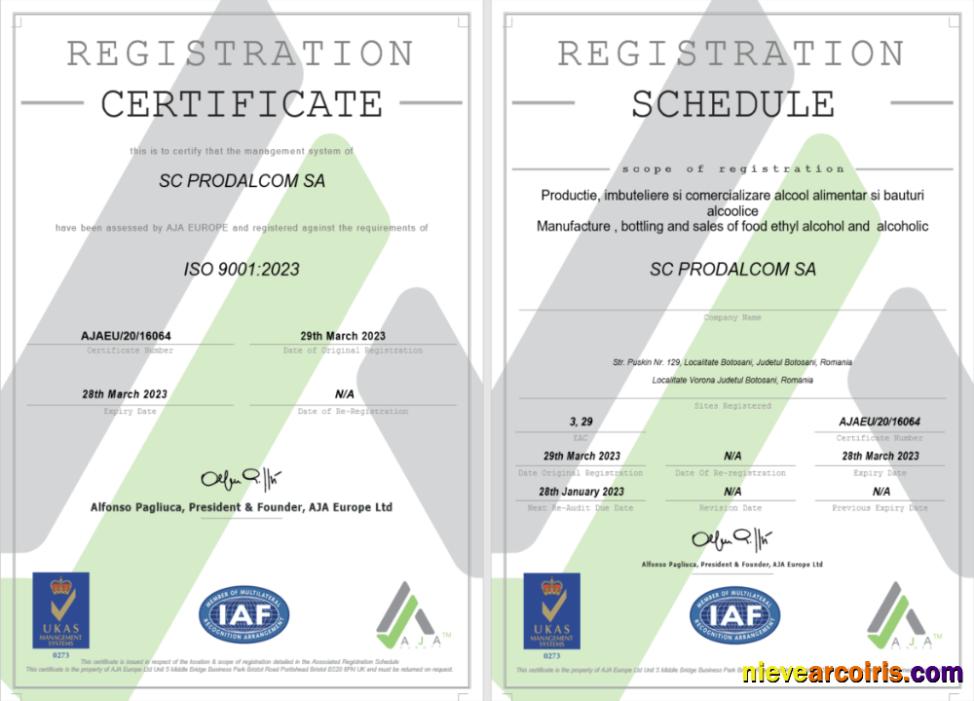 Premium Italy Certificate Of Registration Word And PDF Template