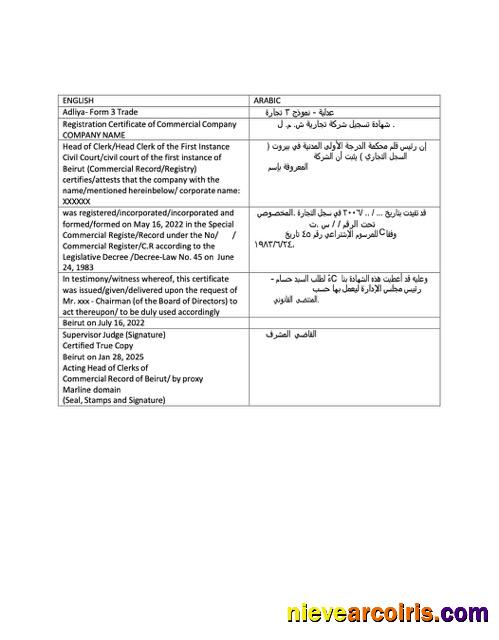 Editable Lebanon Registration Certificate Word And PDF Template