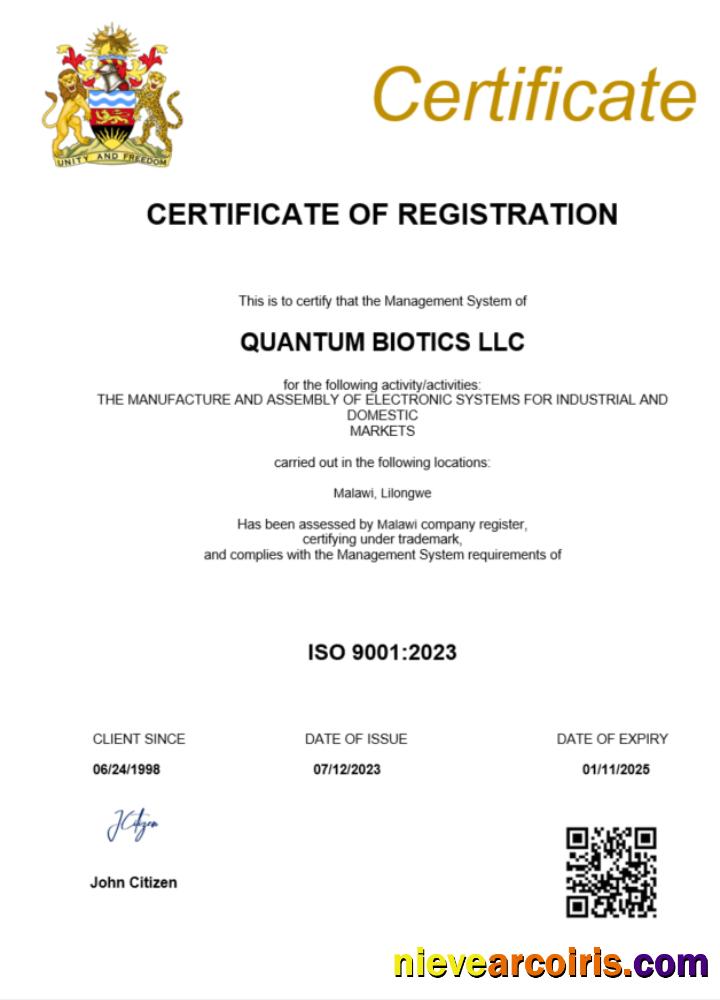 Realistic Malawi Business Registration Certificate Word And PDF Template
