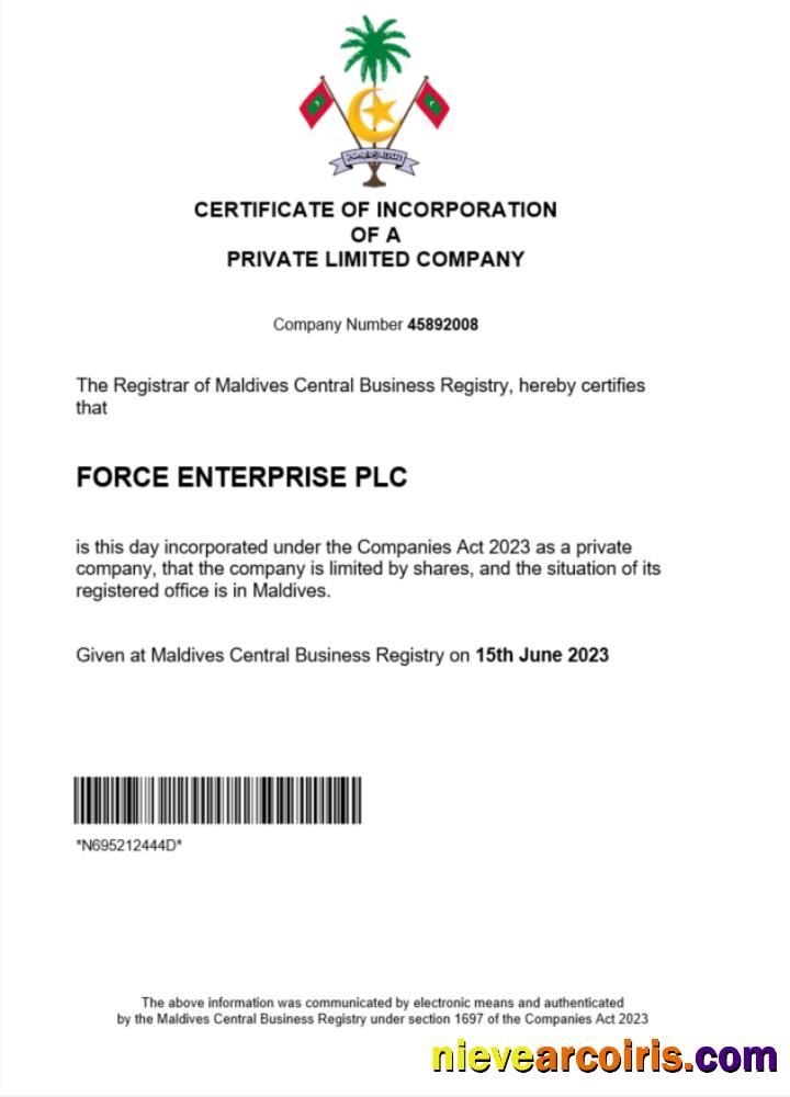 Realistic Maldives Business Registration Certificate Word And PDF Template