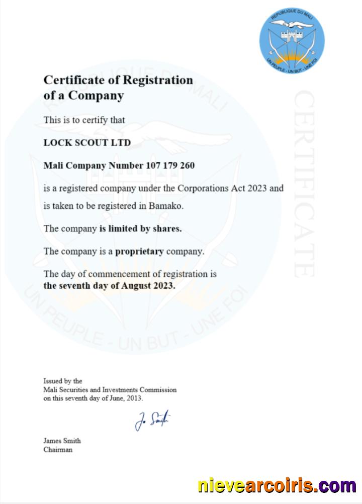 Realistic Mali Business Registration Certificate Word And PDF Template