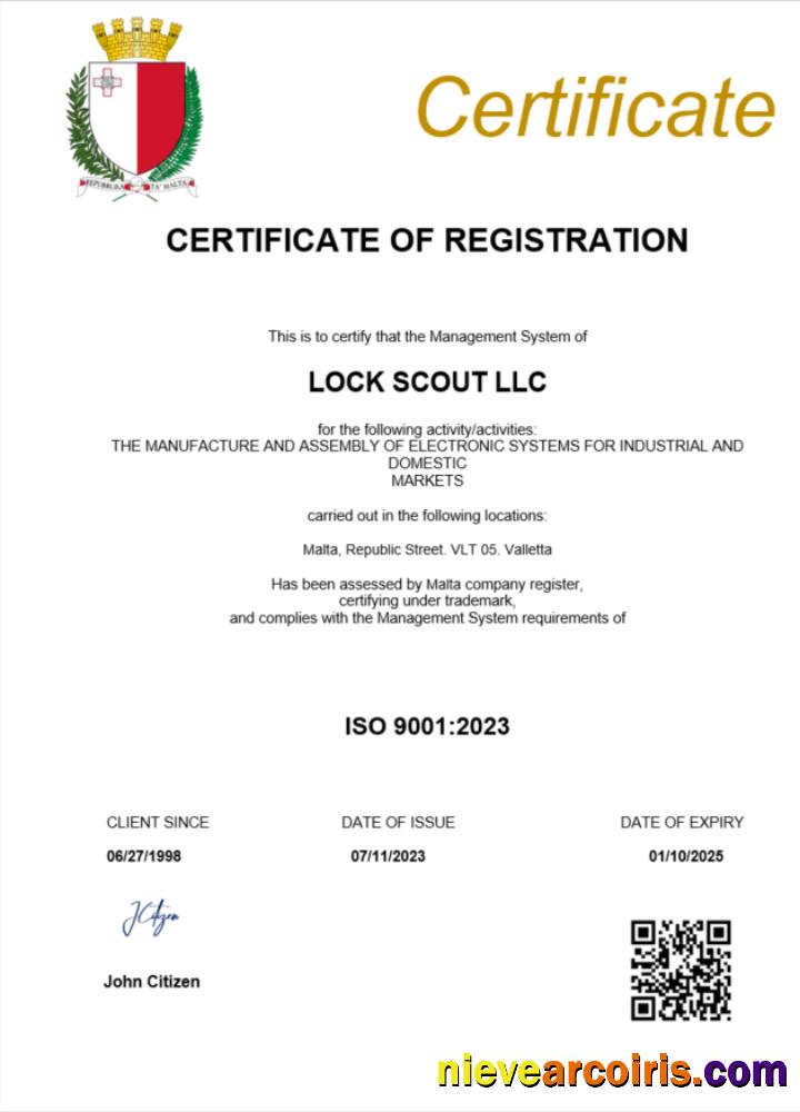 Realistic Malta Business Registration Certificate Word And PDF Template