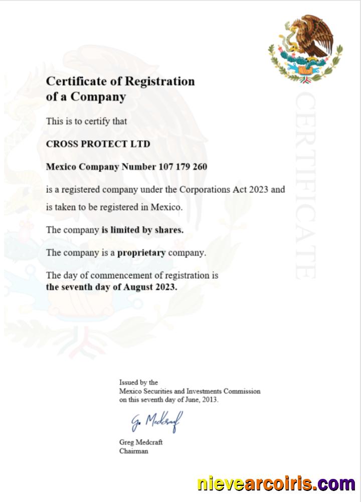 Editable Mexico Business Registration Certificate Word And PDF Template
