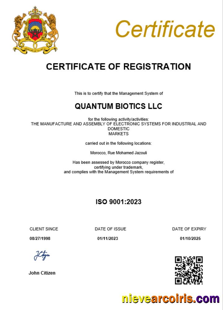 Premium Morocco Business Registration Certificate Word And PDF Template