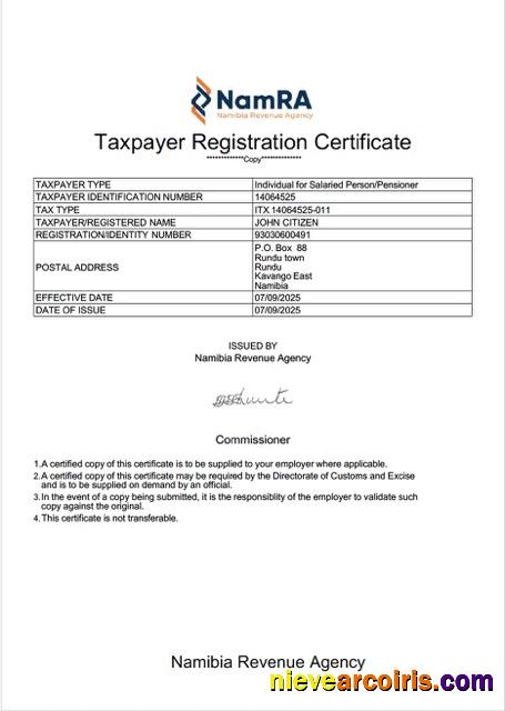 Editable Namibia Taxpayer Registration Certificate Word And PDF Template