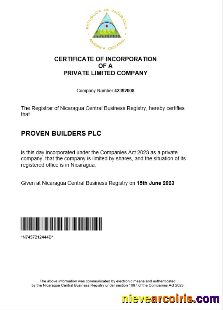 Professional Nicaragua Business Registration Certificate Word And PDF Template