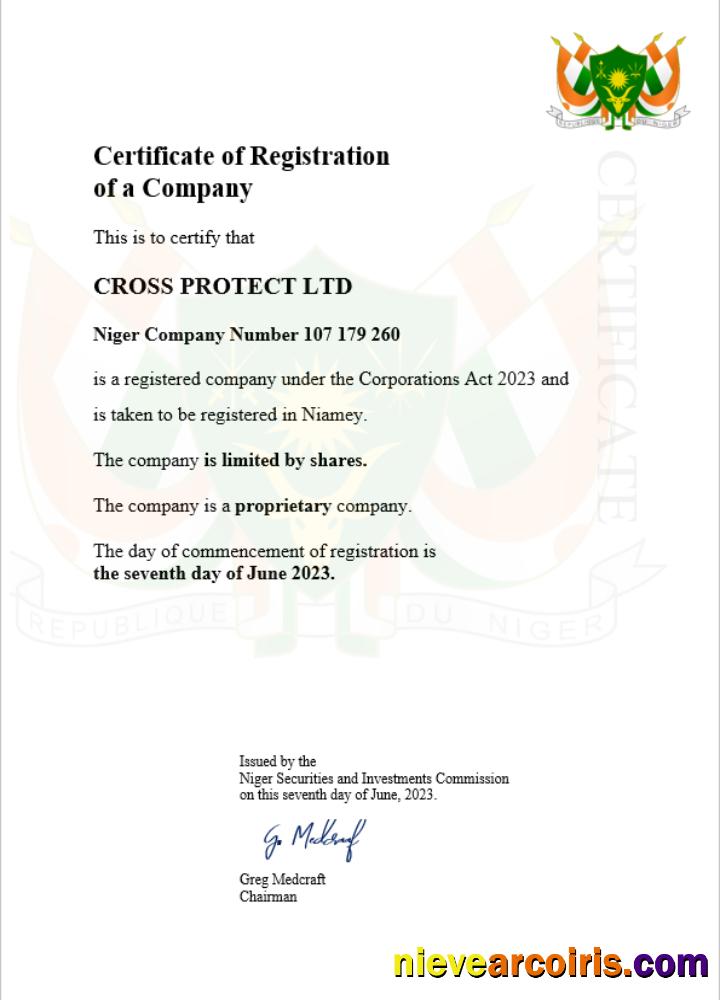 Premium Niger Business Registration Certificate Word And PDF Template