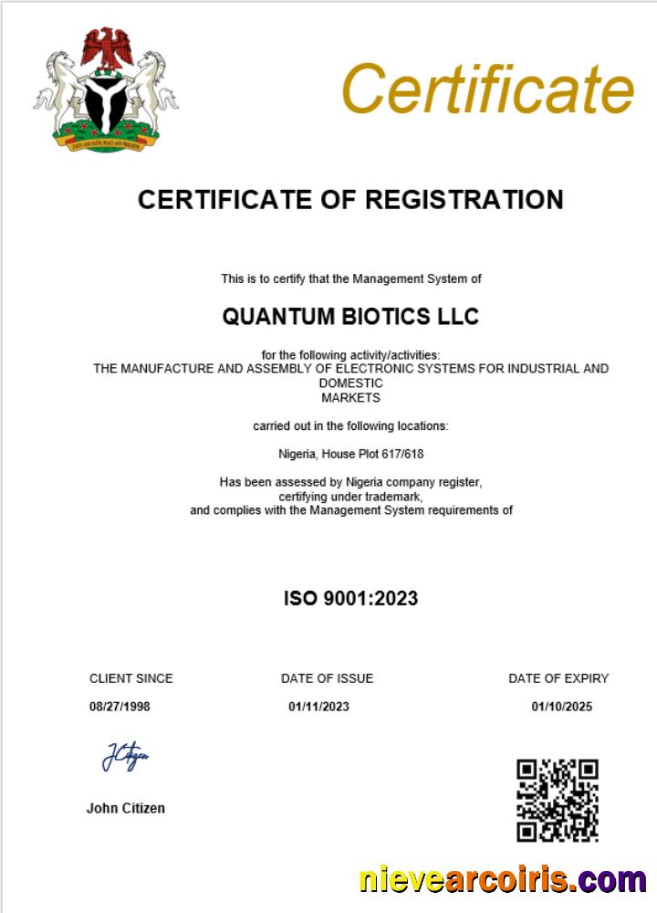 Editable Nigeria Business Registration Certificate Word And PDF Template