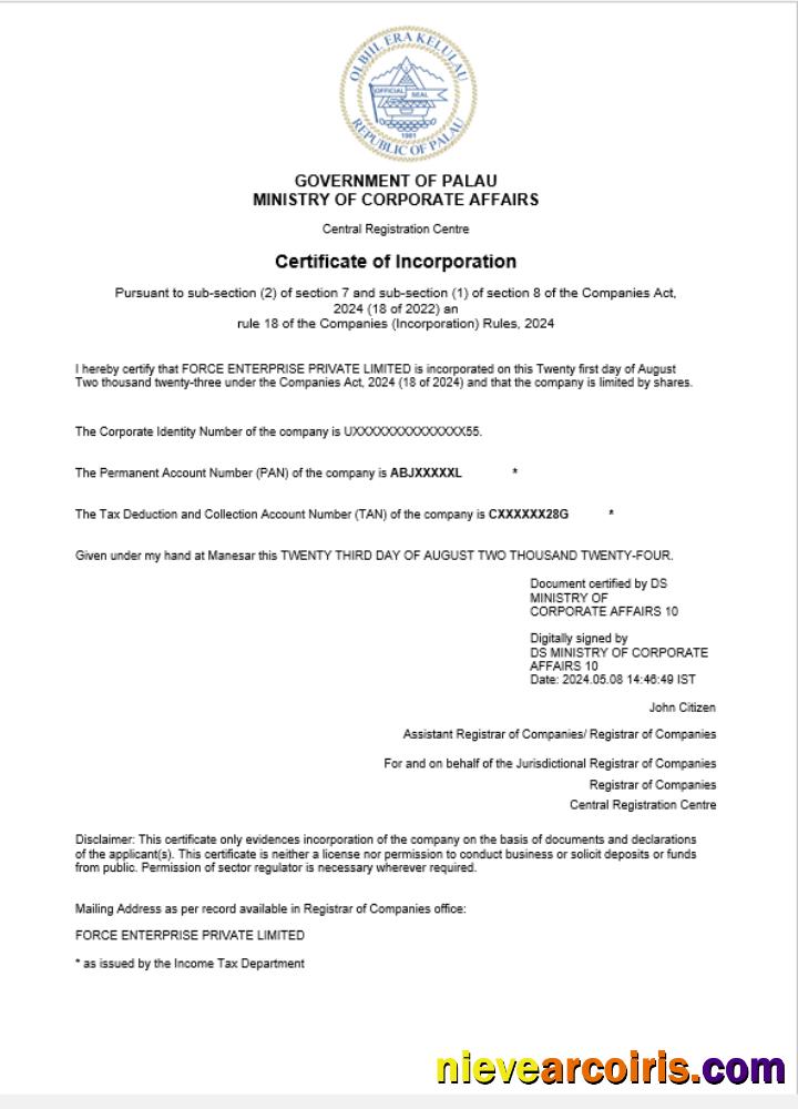 Professional Palau Business Registration Certificate Word And PDF Template