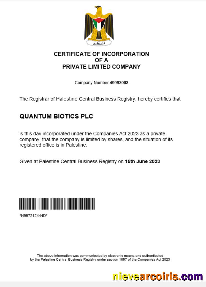 Editable Palestine Business Registration Certificate Word And PDF Template