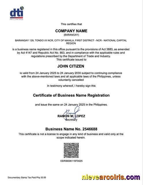 Premium Philippines Barangay Certificate Of Business Name Registration Word And PDF Template