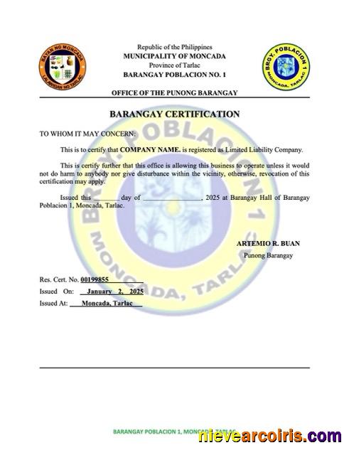 Professional Philippines Barangay Certification Of Registration Word And PDF Template