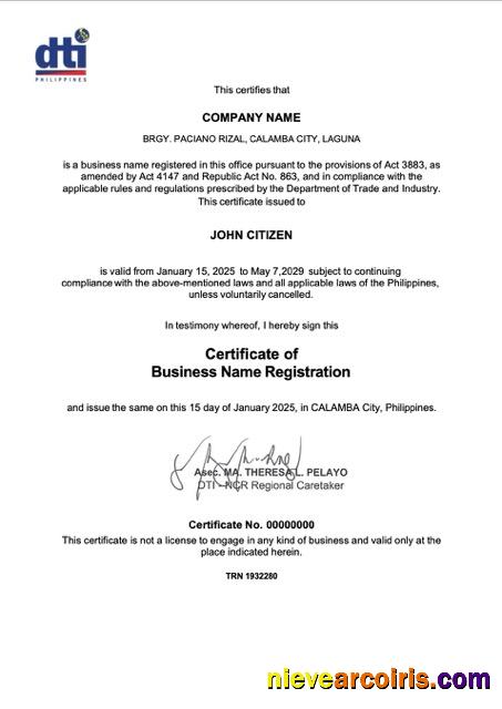 Realistic Philippines Calamba Certificate Of Business Name Registration Word And PDF Template