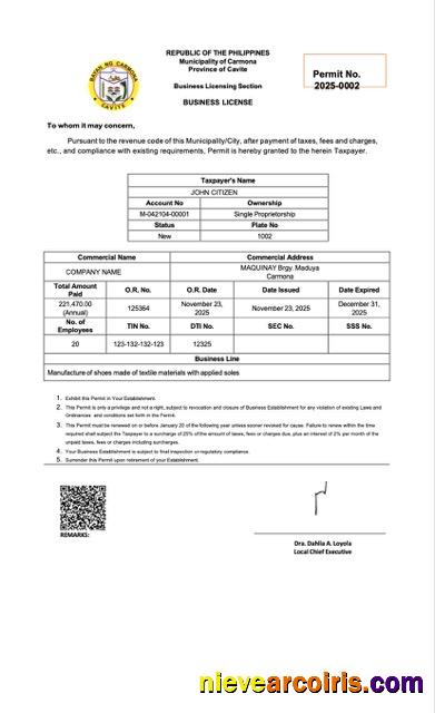 Editable Philippines Business License Word And PDF Template