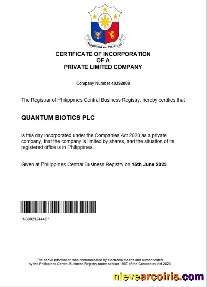 Editable Philippines Business Registration Certificate Word And PDF Template