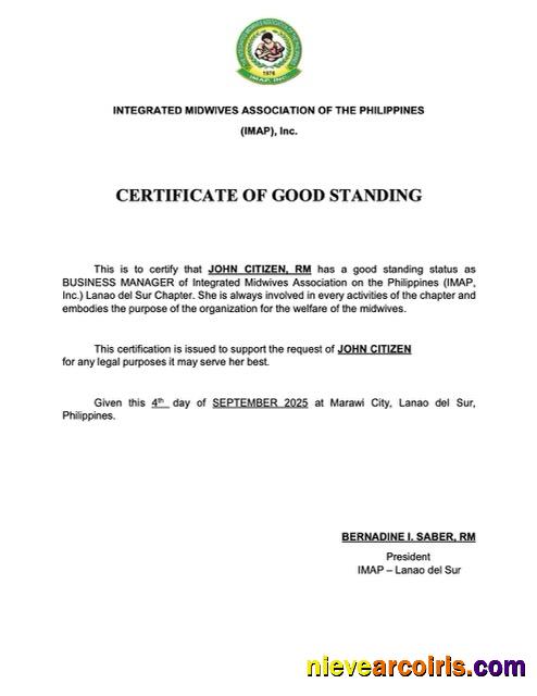 Editable Philippines Certificate Of Good Standing Word And PDF Template, Version 2