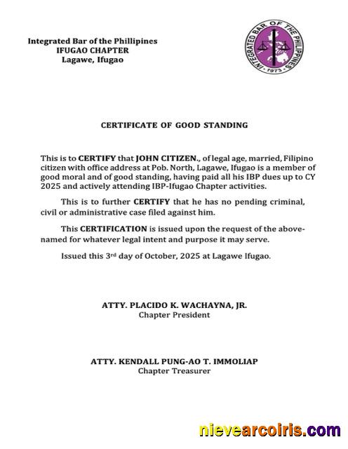 Professional Philippines Certificate Of Good Standing Word And PDF Template, Version 7