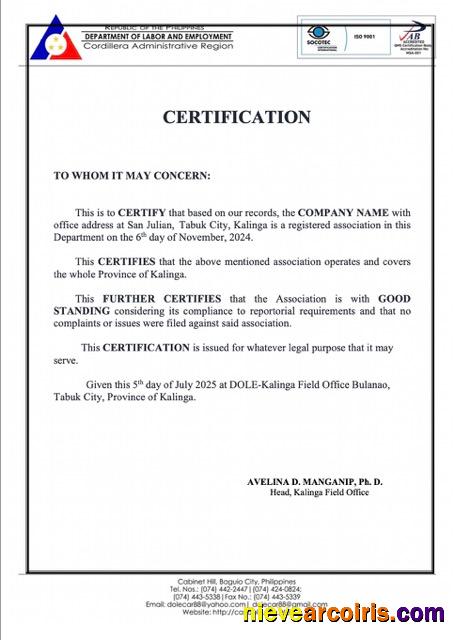 Realistic Philippines Certificate Of Good Standing Word And PDF Template