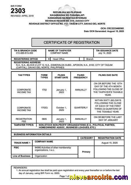 Professional Philippines Certificate Of Registration Word And PDF Template