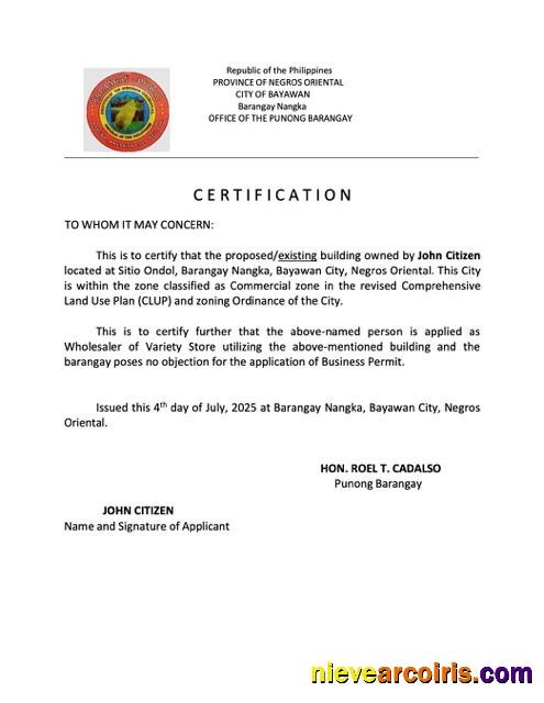 Professional Philippines Certification Of Existence Word And PDF Template