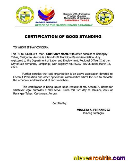 Editable Philippines Certification Of Good Standing Word And PDF Template, Version 4