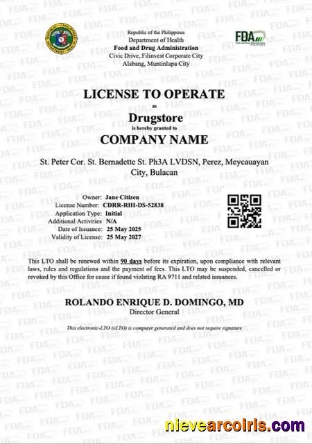 Realistic Philippines License To Operate Word And PDF Template