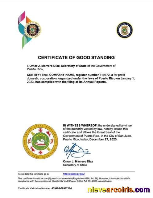 Premium Puerto Rico Certificate Of Good Standing Word And PDF Template