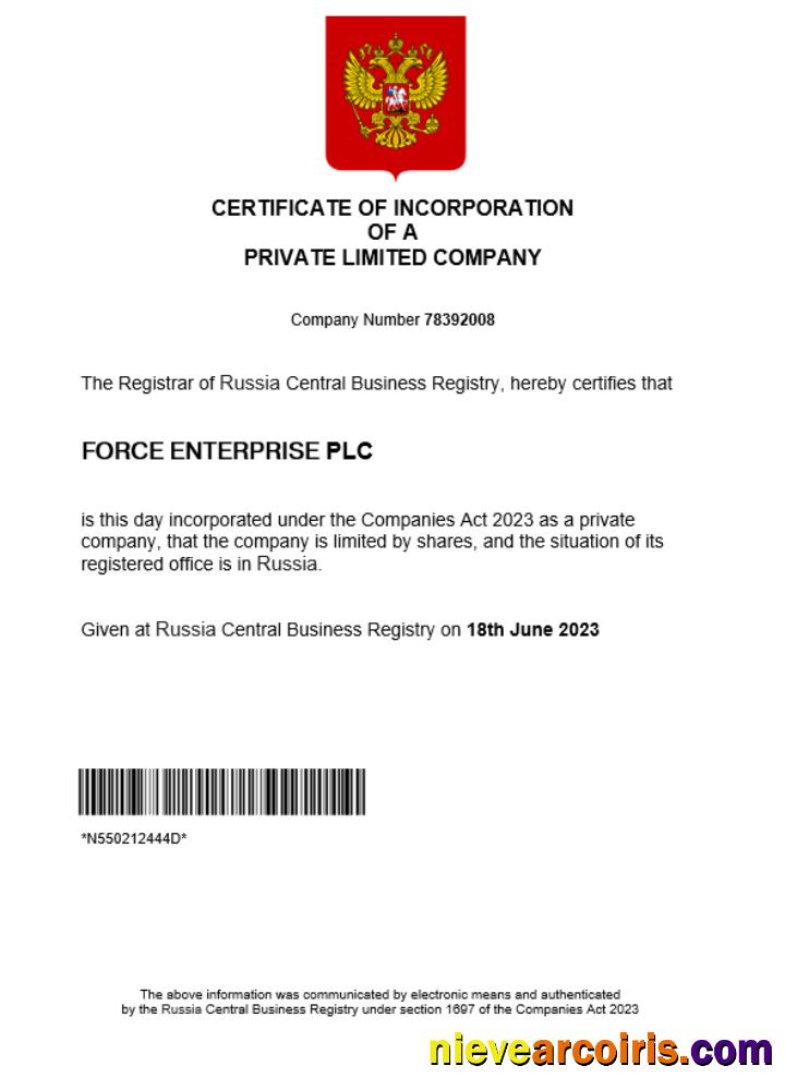 Realistic Russia Business Registration Certificate Word And PDF Template