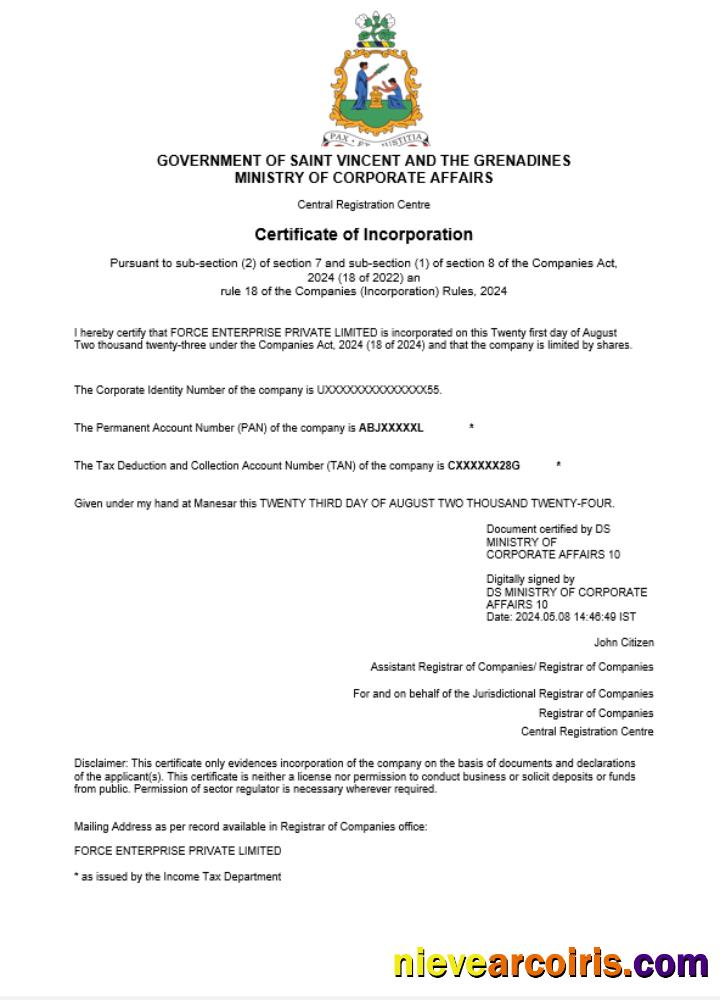 Premium Saint Vincent And The Grenadines Business Registration Certificate Word And PDF Template