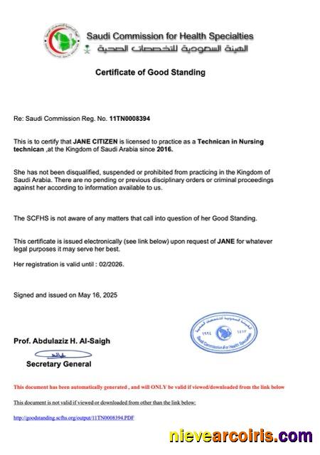 Professional Saudi Arabia Certificate Of Good Standing Word And PDF Template, Version 2