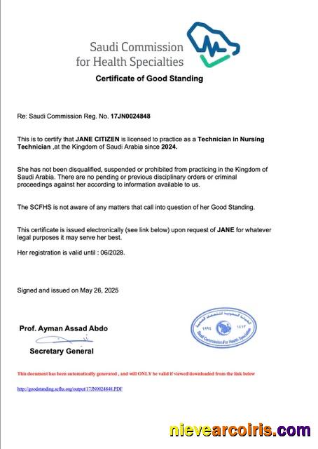Professional Saudi Arabia Certificate Of Good Standing Word And PDF Template