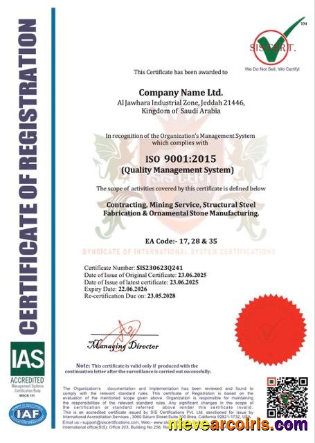 Realistic Saudi Arabia Certificate Of Registration Word And PDF Template
