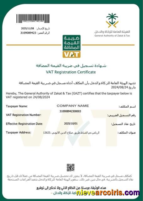 Premium Saudi Arabia VAT Registration Certificate Word And PDF Template