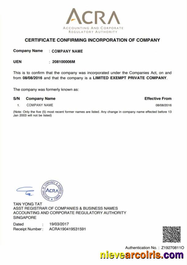 Singapore Certificate Of Incorporation Photolook