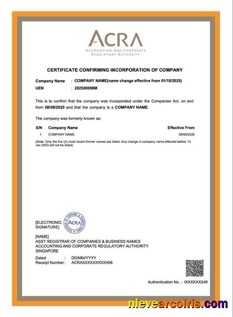 Editable Singapore Certificate Confirming Incorporation Of Company Word And PDF Template