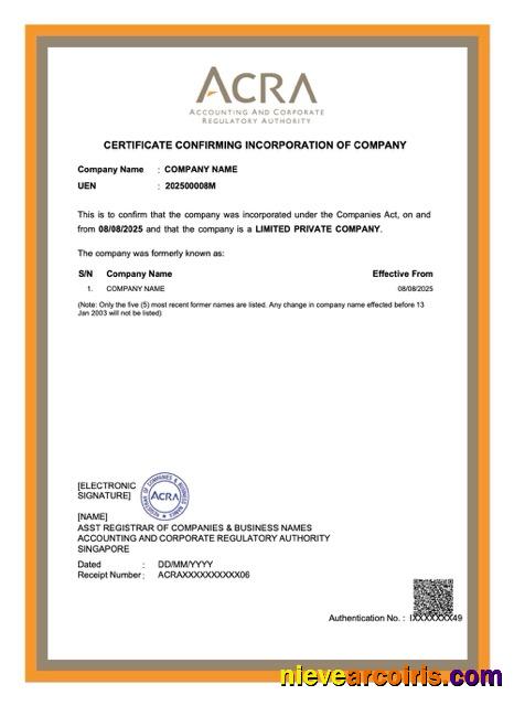Editable Singapore Certificate Of Company Incorporation Word And PDF Template