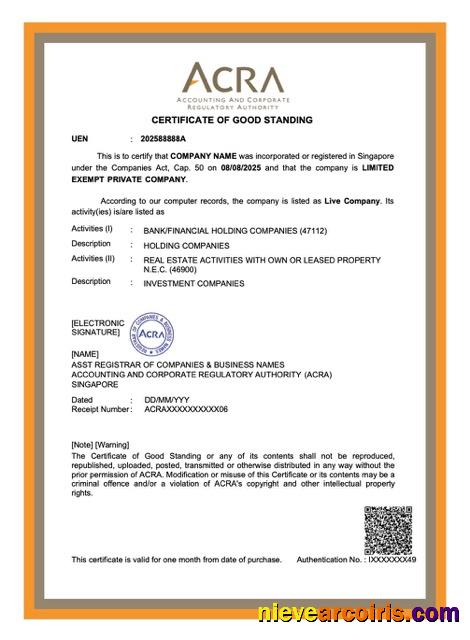 Premium Singapore Certificate Of Good Standing Word And PDF Template, Version 2