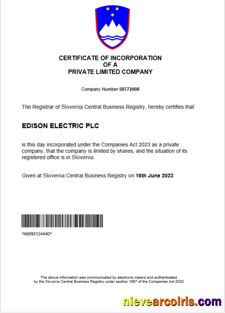 Editable Slovenia Business Registration Certificate Word And PDF Template