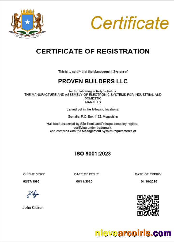 Realistic Somalia Business Registration Certificate Word And PDF Template