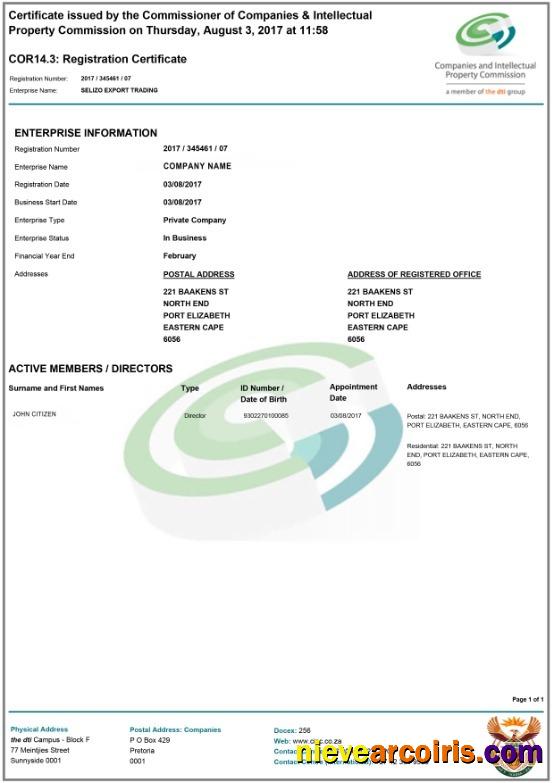 South Africa Registration Certificate Preview