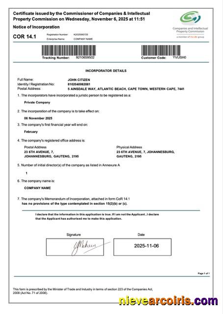 Professional South Africa Certificate Of Incorporation Word And PDF Template