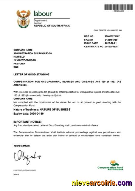 Realistic South Africa Letter Of Good Standing Word And PDF Template