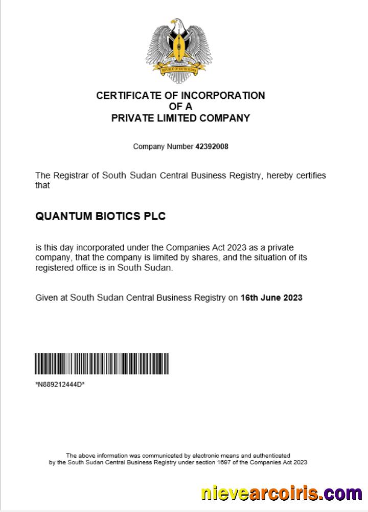 Editable South Sudan Business Registration Certificate Word And PDF Template