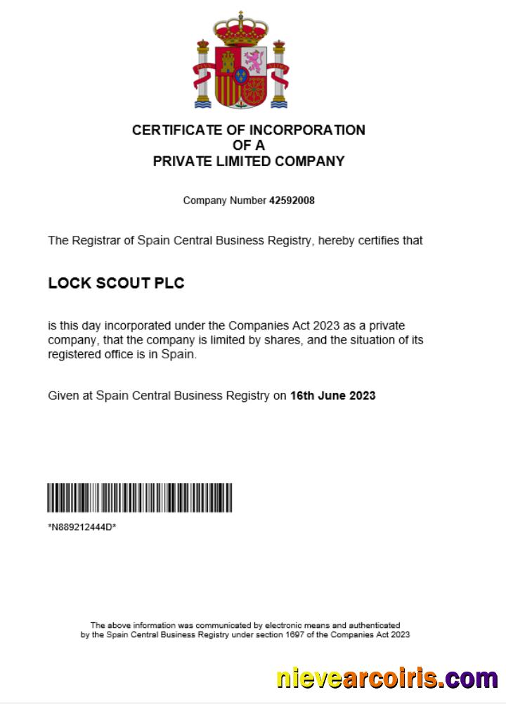 Professional Spain Business Registration Certificate Word And PDF Template