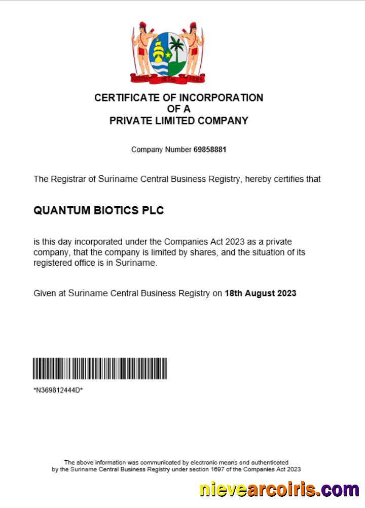 Editable Suriname Business Registration Certificate Word And PDF Template