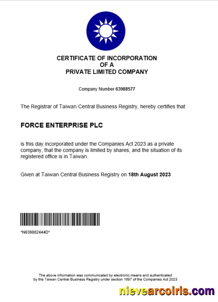 Premium Taiwan Business Registration Certificate Word And PDF Template