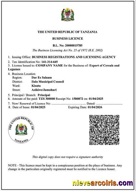 Professional Tanzania Business Licence Word And PDF Template
