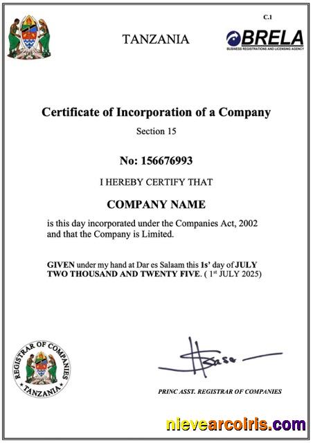Editable Tanzia Certificate Of Company Incorporation Word And PDF Template