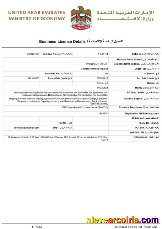 UAE Business License Photolook